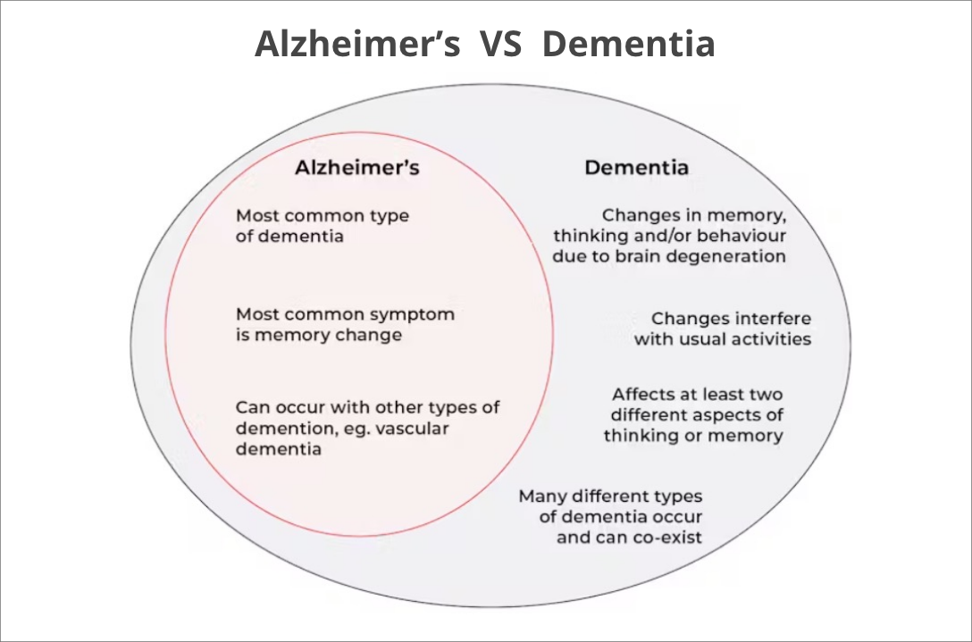 Reference - The Conversation - Alzheimer Vs Dementia