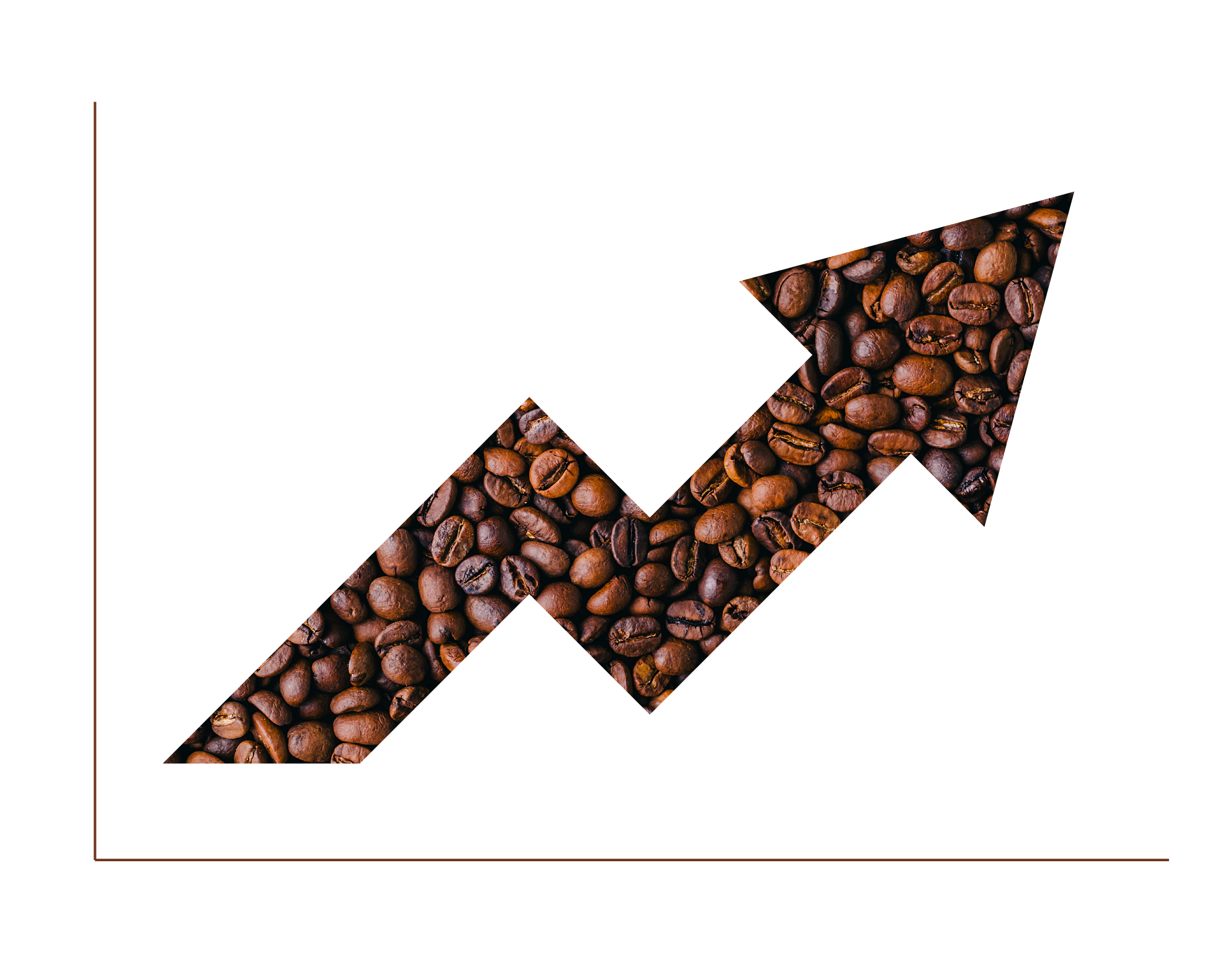 Statistics about coffee consumption in the United States 2024